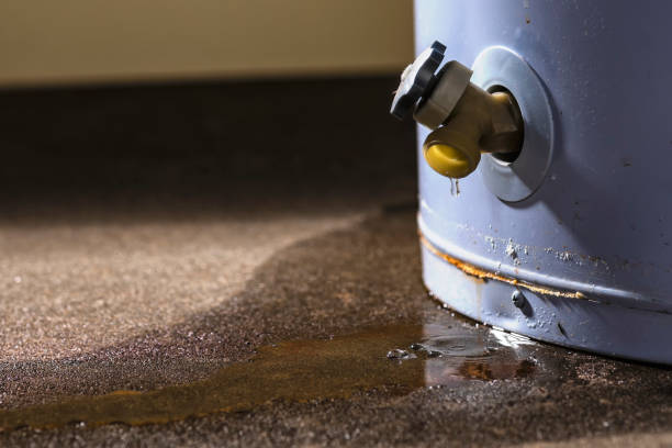 Best Residential water damage restoration  in Darien Downtown, CT