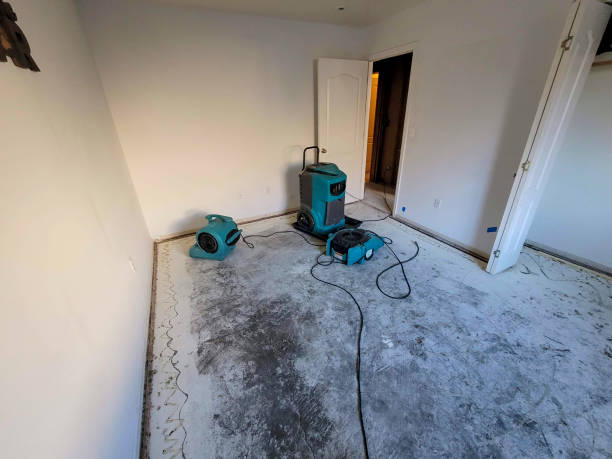 Best Emergency water damage restoration  in Darien Downtown, CT