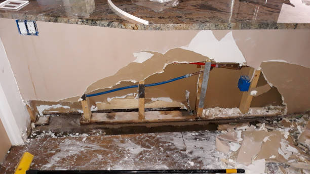 Best Flood damage cleanup  in Darien Downtown, CT