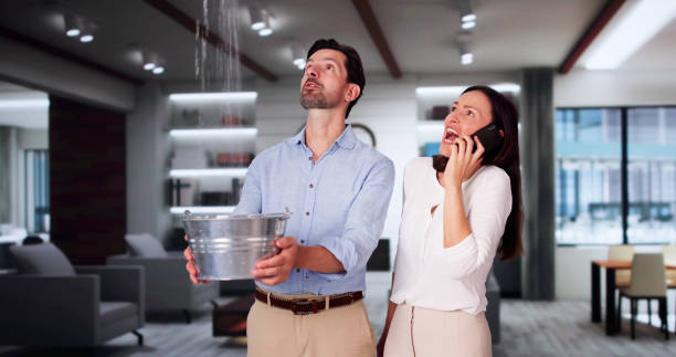 Best Sewage cleanup and water damage restoration  in Darien Downtown, CT