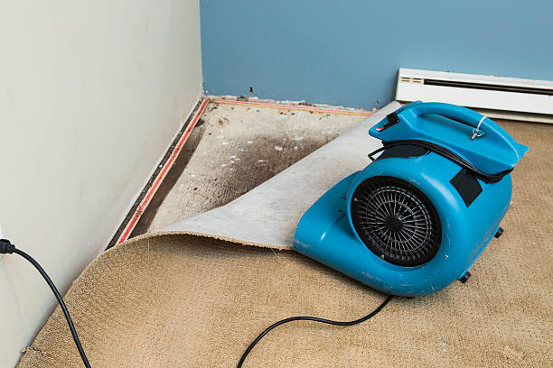 Best Ceiling water damage repair  in Darien Downtown, CT