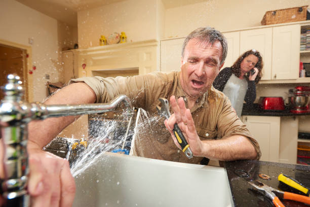 Best Basement water damage restoration  in Darien Downtown, CT